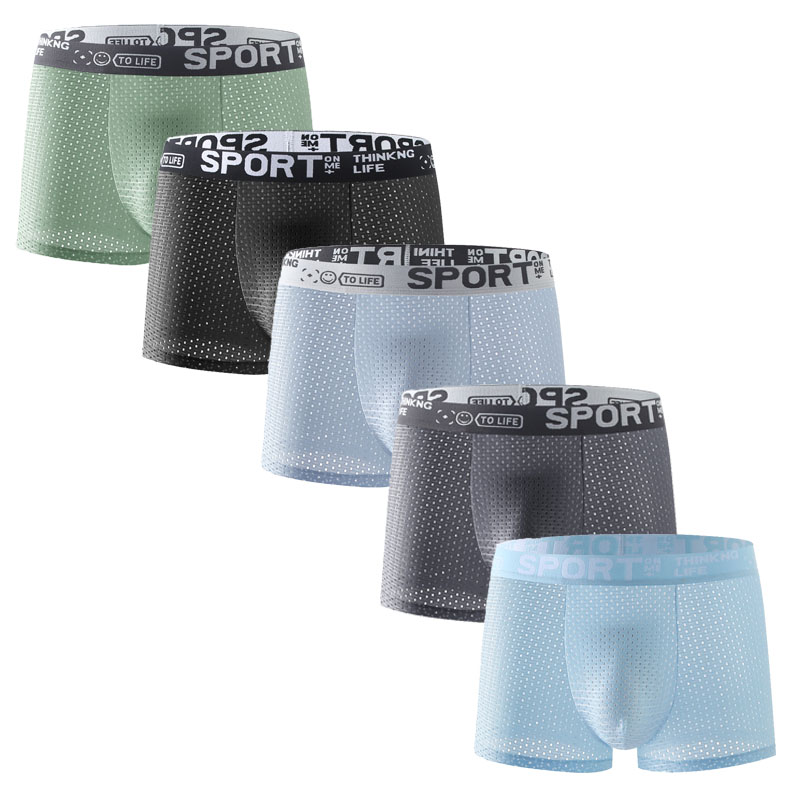 Mesh Sport Boxer - Набор из 5 мужских трусов-боксеров из